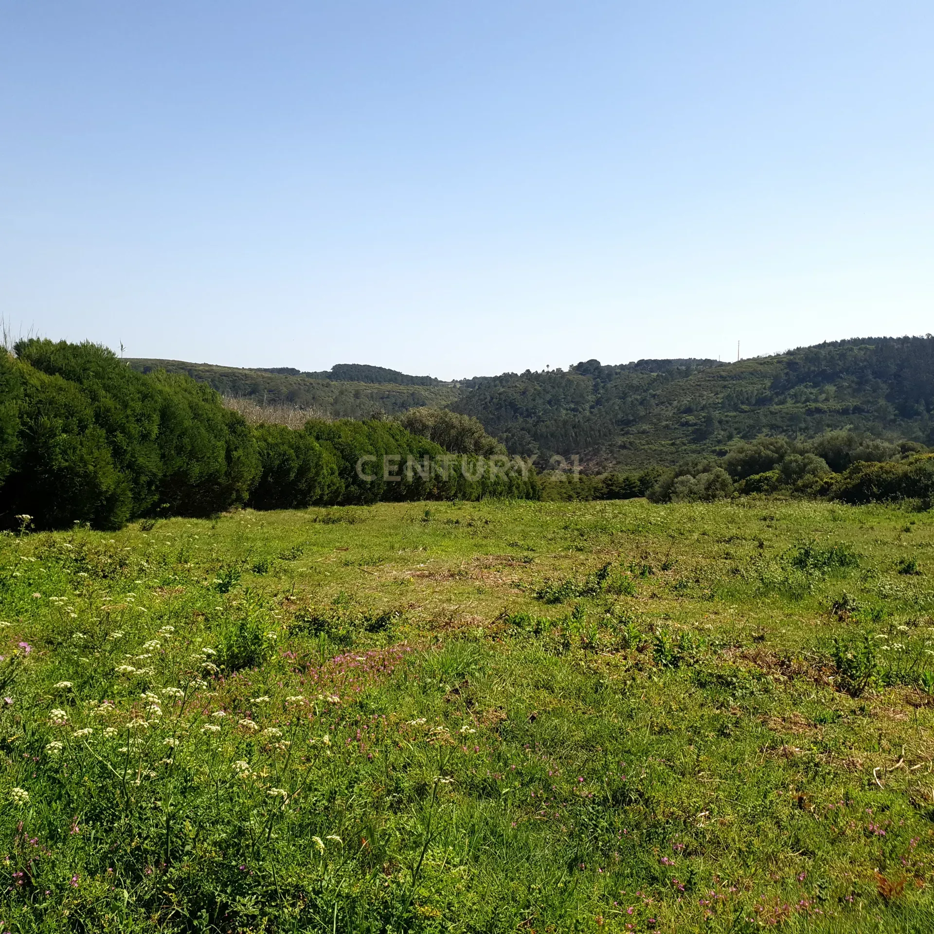 Terreno na Ericeira - Image 6
